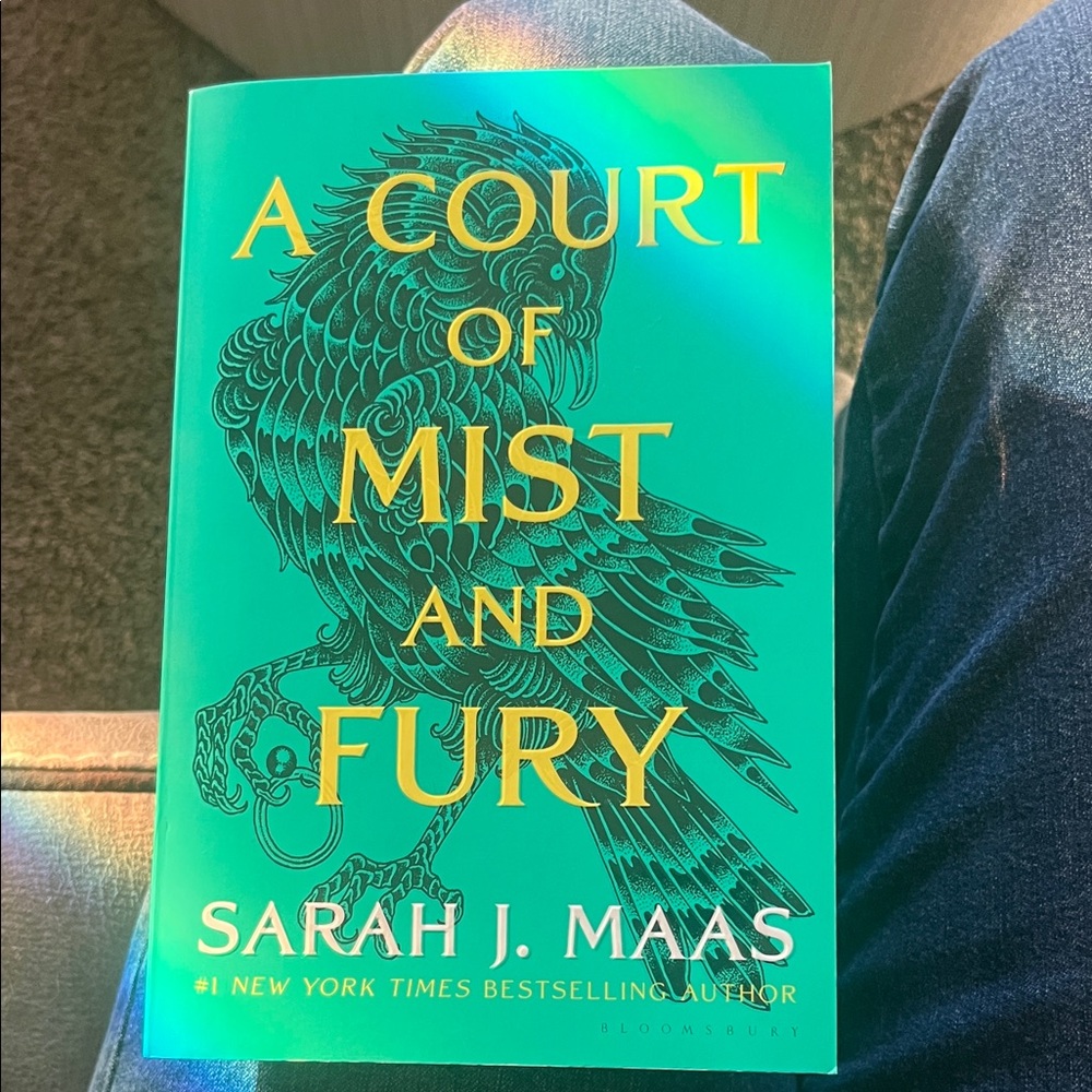 A Court of Mist and Fury by SJM